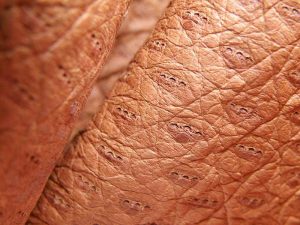 peccary-leather-details