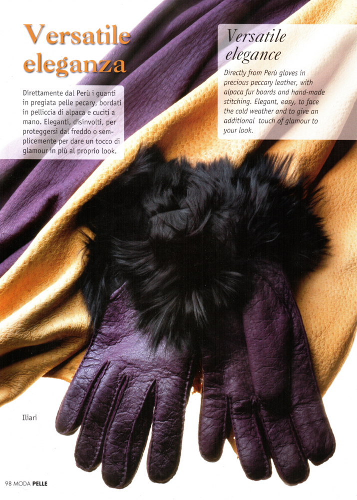 Modapelle Magazin