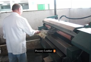 Proceso de Rebajado del Cuero de Peccary