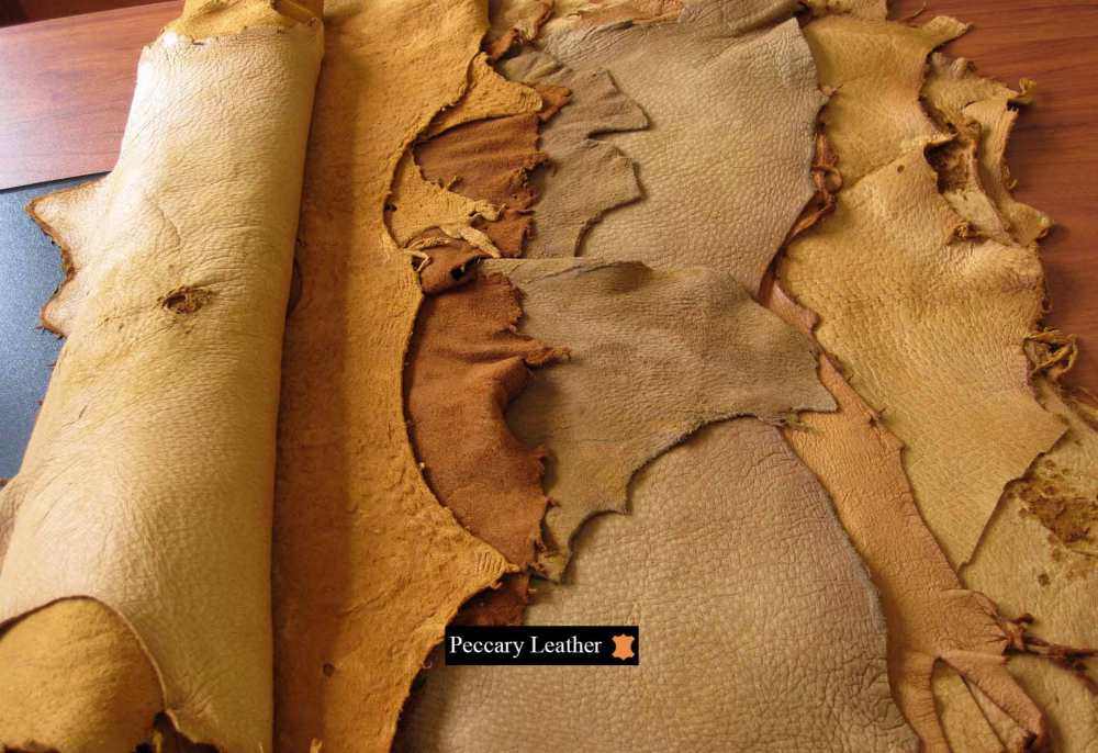 Peccary Leather Colored