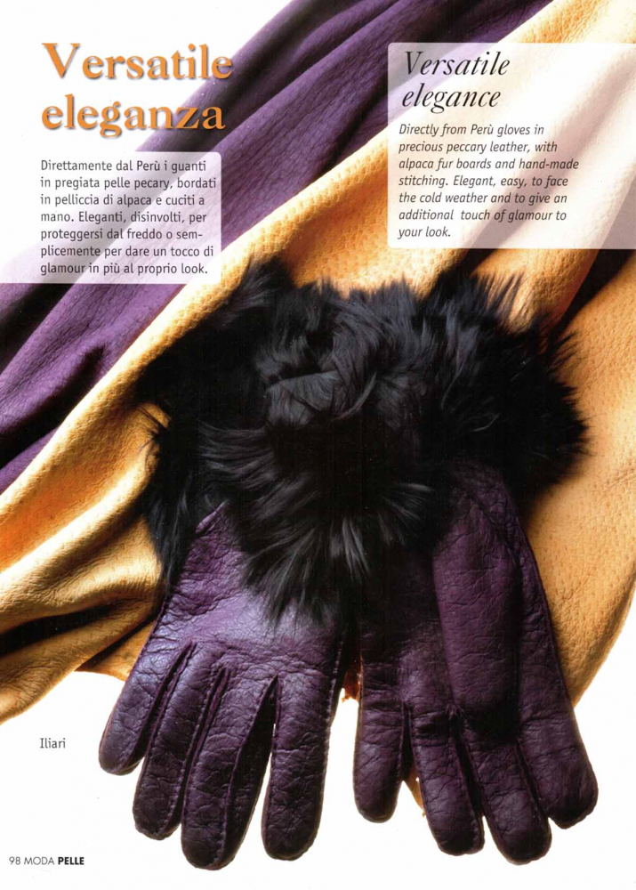 Modapelle Magazine