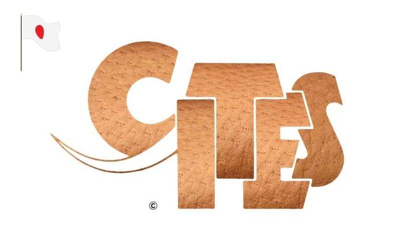 cites-asia