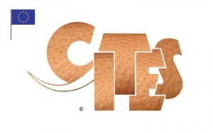 cites-europa