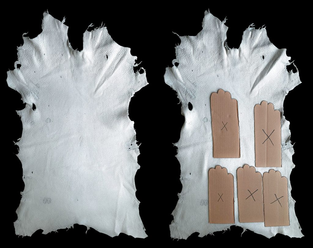 grade ii - peccary skins crust measure